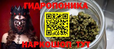 не бодяженный Заводоуковск